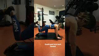 Quadruped kick back banded