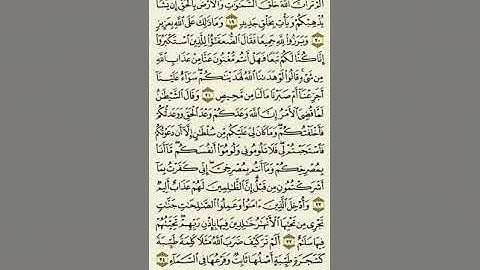 سورة إبراهيم من الآية ١٩ إلى الآية ٢٤
