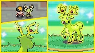 Shiny Stantler after 4616 Encounters in Soul Silver (Phase 5) DTQ Member #3