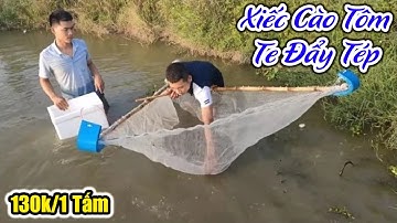130k/1 tấm Xiếc Cào Tôm Rộng 2m Dài 4m - Lưới Đẩy Te Đẩy Tay - Đẩy Xiên, Siết Tôm Tép Cá 0987782098
