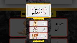 general knowledge questions #gkquestions #generalknowledgequestions #riddles #ytshorts #shorts