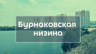 Путешествие по Бурнаковской низине [Взгляни, Алиса!]