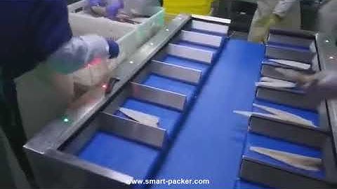 Automatic pre loading conveyor belt weighing selecting sorting machine weight checking conveyor