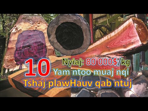 Video: Top 10 Yam Uas Ua hauv Hamptons