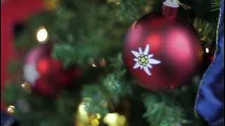 Edelweiss - Merry Christmas 2013