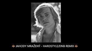Jahody mražený (Hardstyle Remix)