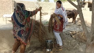 Mehnat Ky Kuch Desi Rang Yeh Bhidesi Rang Mehvish Ke Sang