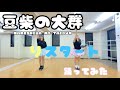 りスタート/豆柴の大群【踊ってみた】 の動画、YouTube動画。