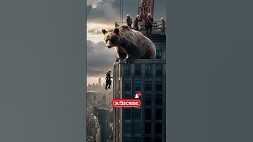 Bear Rescue Trapped in High Rise Building #shorts #animallover #rescue #aishorts