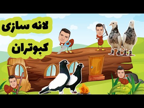 لانه سازی کبوتران جوجه کشی