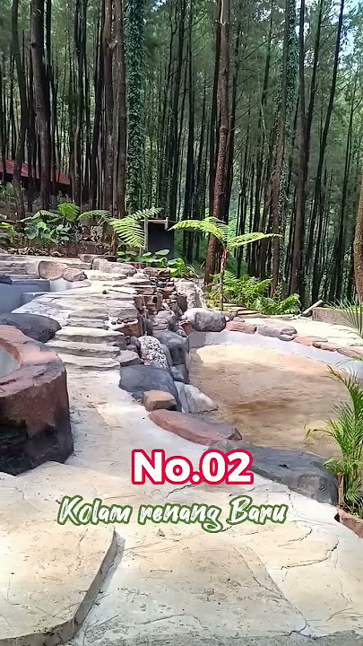 Wisata Terbaru di Tengah Hutan