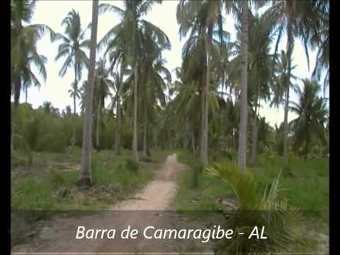 Pedal Recife-Macei ( Bicicleta ) 3 e 4 Dias