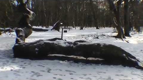 Nick Britton - The Wizard