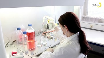 TestLine Clinical Diagnostics