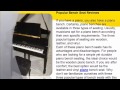 Popular Bench Seat Reviews Popular Bench Seat Reviews