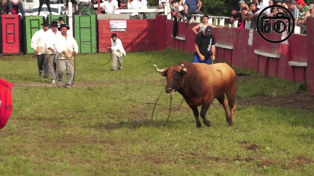 Tourada a Corda - Canada Joe Borges & Ole Toiro Junho 2017