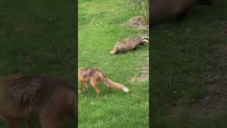 IMG 5512