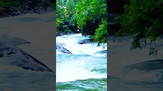 Relaxing River Sounds - Peaceful Forest River