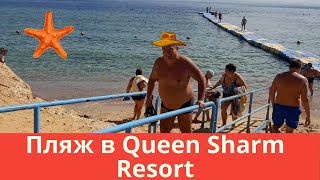 Пляж в отеле Queen Sharm Resort  - Квин Шарм обзор пляжа в Египте