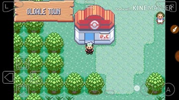 Rare candy and Master ball cheat codes [POKEMON EMERALD]