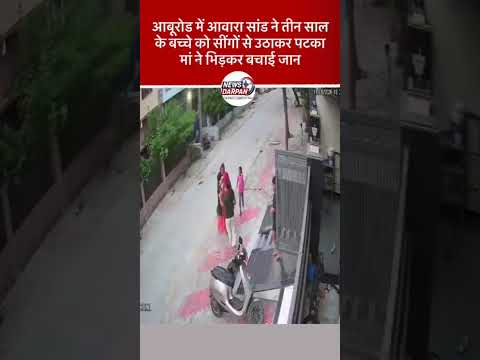 आबूरोड में आवारा सांड ने तीन साल के बच्चे को सींगों से उठाकर पटका, मां ने बचाई जान