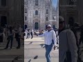 When In Milan Milan Milano Italy Italie Duomomilano Duomodimilano ايطاليا إيطاليا ميلان When In Milan Milan Milano Italy Italie Duomomilano Duomodimilano ايطاليا إيطاليا ميلان