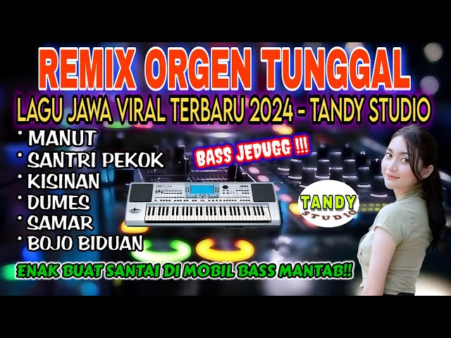 MANUT - SANTRI PEKOK - KISINAN | REMIX ORGEN TUNGGAL TANDY STUDIO TERBARU 2024 class=