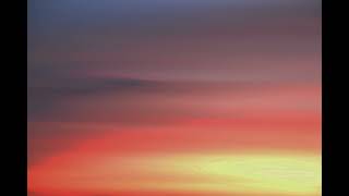 Black Eyed Peas - My humps(Lyrics)