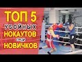 ТОП 5 Убойных НОКАУТОВ среди новичков