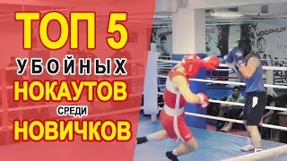 ТОП 5 Убойных НОКАУТОВ среди новичков