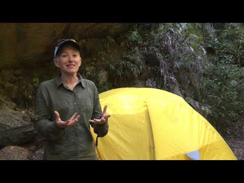 Camping Gear For