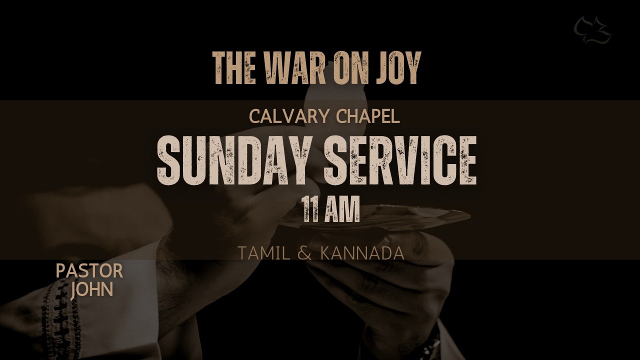 The War On Joy