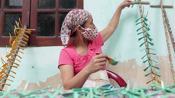 Phóng sự về Chuồn Chuồn tre