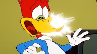 woody woodpecker show downsized woody full episode cartoons for children