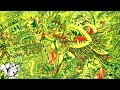 [公式] nyanyannya - ウェルカム・トゥ・ザ・大三元ランド(Welcome to the Daisangen Land) feat.KAITO