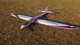 20180121 エンゼル模型 3機の飛行機とトンビ?のフライト動画 20180121 エンゼル模型 3機の飛行機とトンビ?のフライト動画