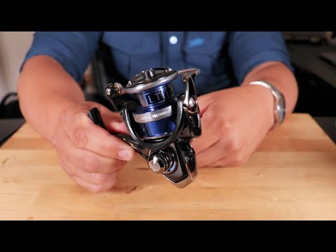 Daiwa Legalis LT Reel Review (Value + Performance) 