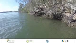 Logan River Fish Habitats