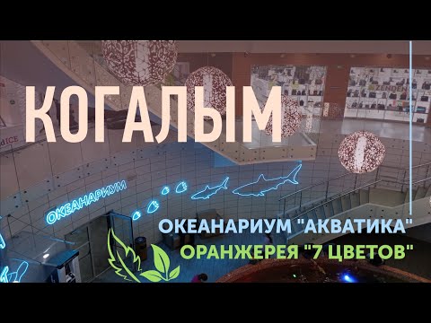 Когалым. Океанариум "Акватика". Оранжерея "7 цветов"