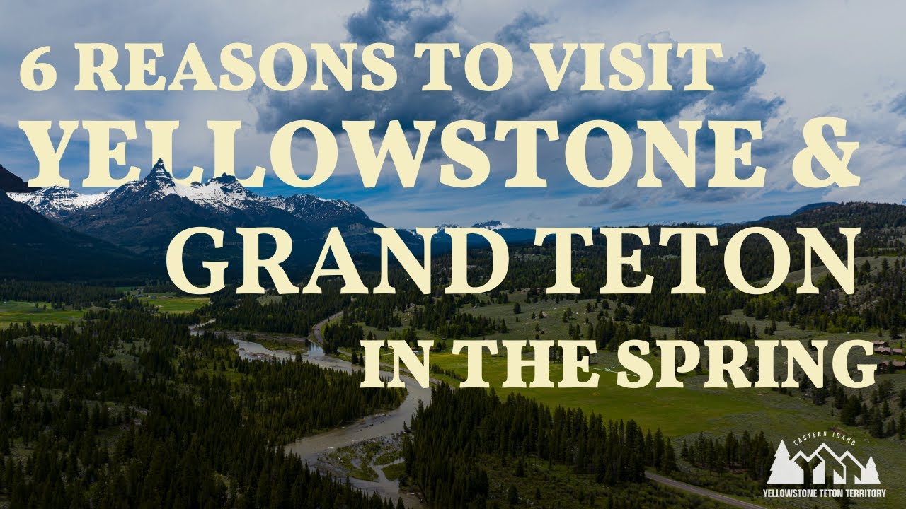 Best Time to Visit Yellowstone and Grand Teton National Parks