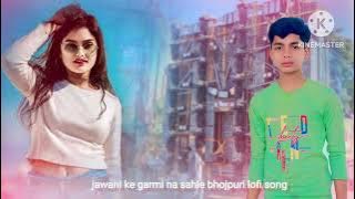 Jawani ke garmi na sahle shaha ta dj bhojpuri song lo-fi dj 😲