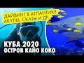 Дайвинг на Кубе. Подводный туризм на карибах. Встреча с акулой и скатом на Кайо Коко.