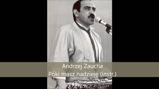 Andrzej Zaucha - Póki masz nadzieję (wersja instr.)