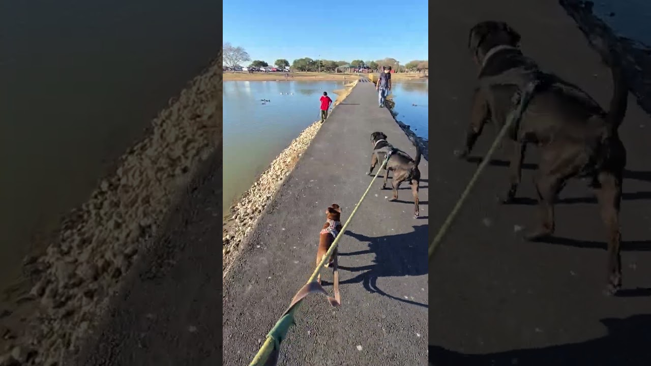 The Bridge is Closed