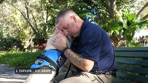 Invisible Wounds