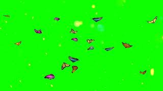 Butterfly Animation Green Screen