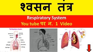 swasan tantra, respiratory tantra|| respiratory system||