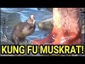 Kung Fu Master Muskrat vs Novice Mink