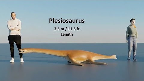 #1 Ancinte marin reptiles size camparison 3d