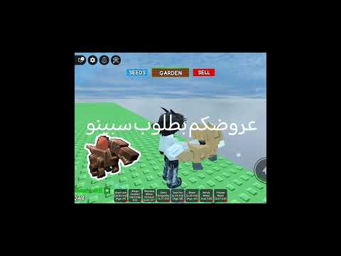 عروضكم بطلوب سبيونو